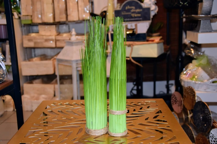 13d81ba7cc7370d456a17e45bc740495