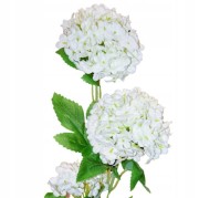 2e78c4cc448f5dd3a9aa0f4c642d1416