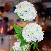 dc90c7a71124184a45c299c14a3575d9