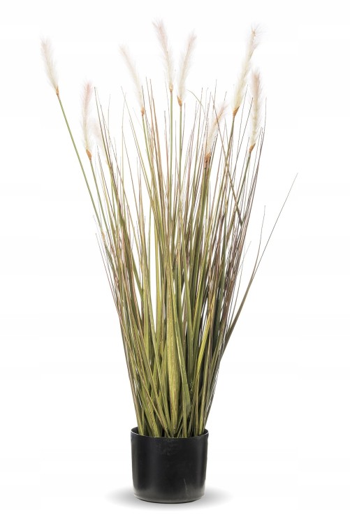 TRAWA W DONICZCE, ROŚLINA DEKORACYJNA 90cm