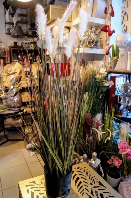 TRAWA W DONICZCE, ROŚLINA DEKORACYJNA 90cm