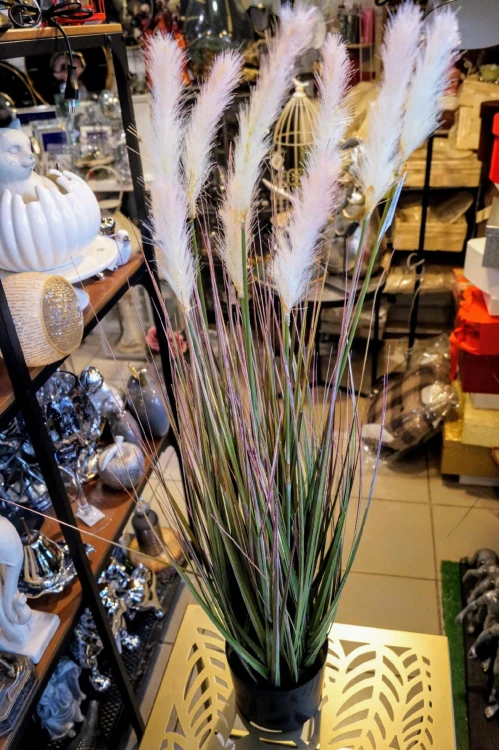 TRAWA W DONICZCE, ROŚLINA DEKORACYJNA 90cm