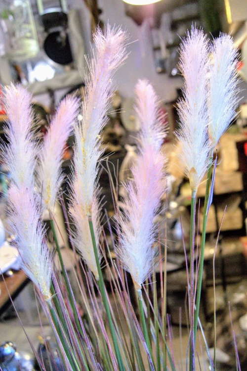 dcd12b5fffd1efd2164ef00b307e2503