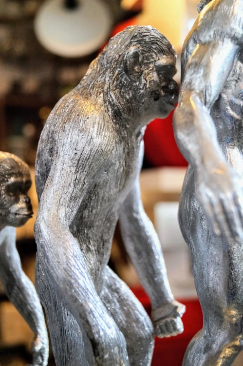 26509b09d3f35f1089b20a8dccaa34f9