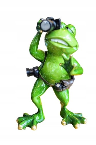 FIGURKA ŻABA FOTOGRAF