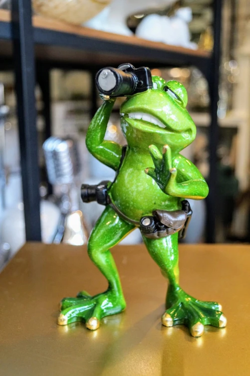 FIGURKA ŻABA FOTOGRAF