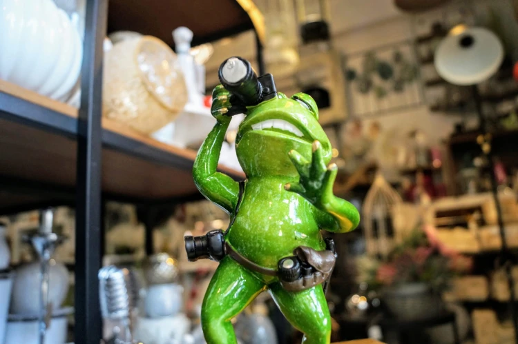 FIGURKA ŻABA FOTOGRAF