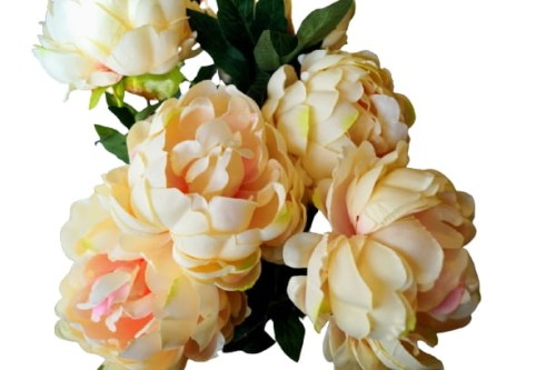 1fe7ee8b2cfd8b057403010c4477d4ae