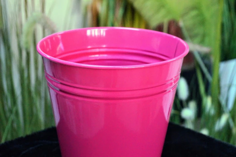 44f366b0347ad6c8c5031884ba9e560c