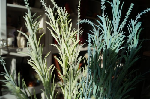 fb8dfbefa0696f484629c8fe9456d497