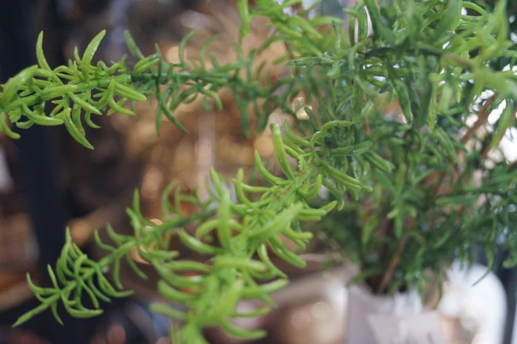 e36277ffe2221247929a2d577593b822