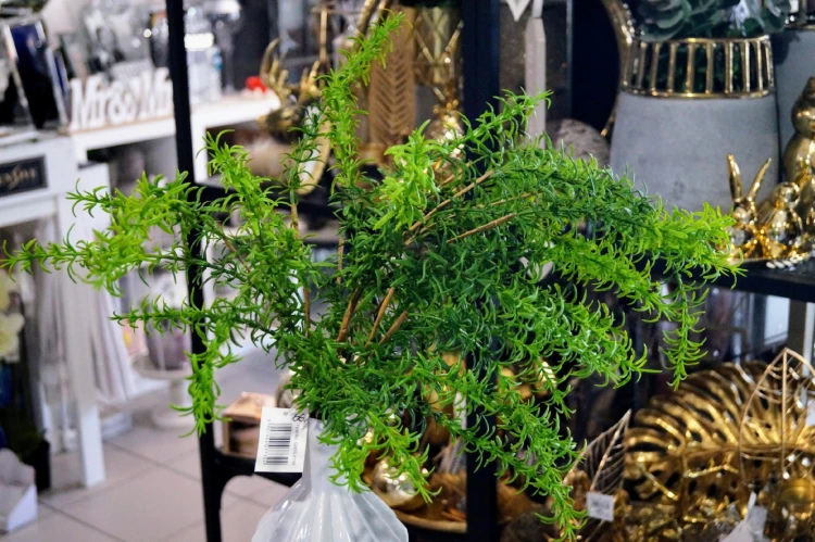 268e3c6c6eebfd7ae2fc10286c12bb7b