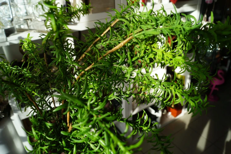 f05e0e156e8b8692f95064cb2fb8afd2