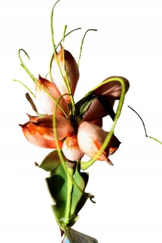 0b17f9ce85bcd6b231d6c64b434747c6