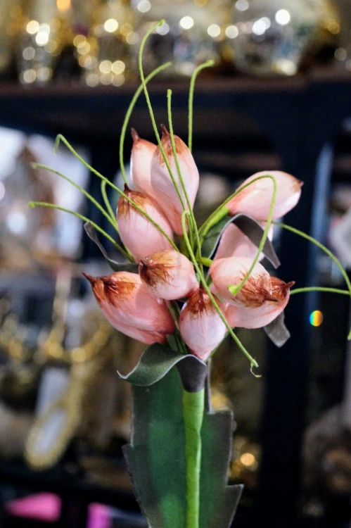 88a6a0a4178434762200f837bc587de3