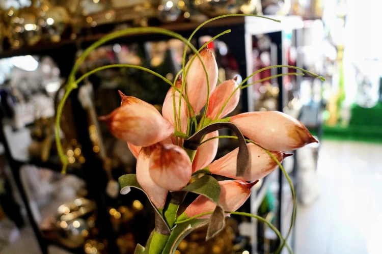 12e35dffeb0a27e87d81d5e3ea5af2a6