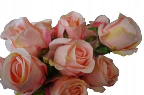 54871659b487577db780a9120b891424