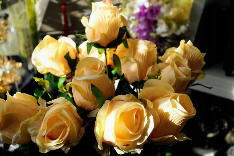 c2fc7b4840bfa30dcf96981c88a3d9a8