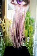 TRAWA W DONICZCE, 55cm
