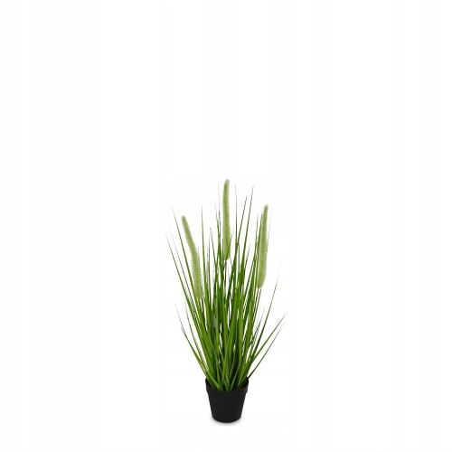 TRAWA W DONICZCE, 54cm