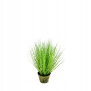 TRAWA W DONICZCE 50cm