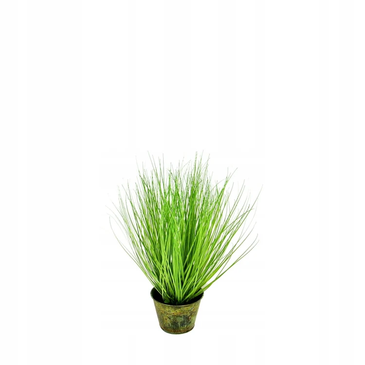 TRAWA W DONICZCE 50cm