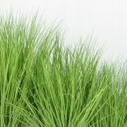 TRAWA W DONICZCE 50cm