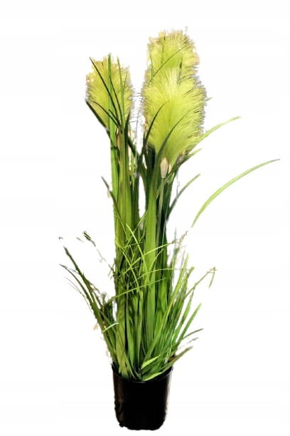 TRAWA W DONICZCE 81cm