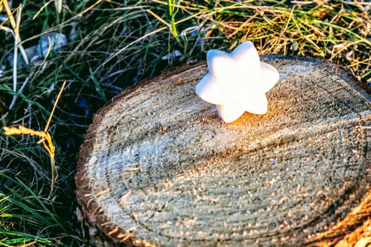 da804bd47feb7d3e96a2f4e2e2589f6f