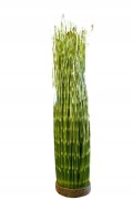 TRAWA W WIĄZCE 53cm