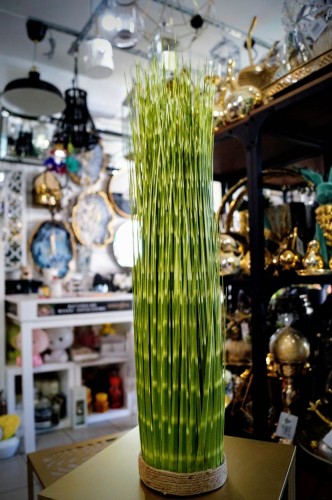 84434350837b70a25abfd207ce676ef0