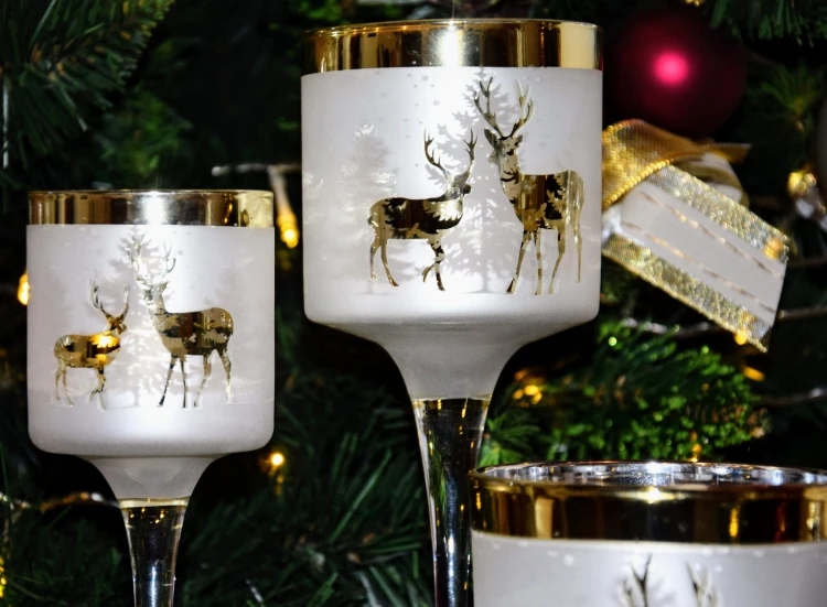 81211f8ed76b197071182927b7d73e15