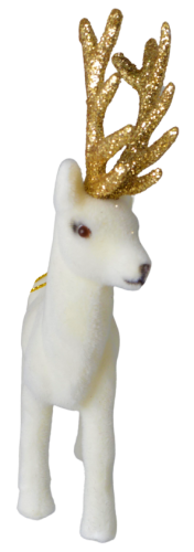 88a346ef282097c6bff0383406dda7cc