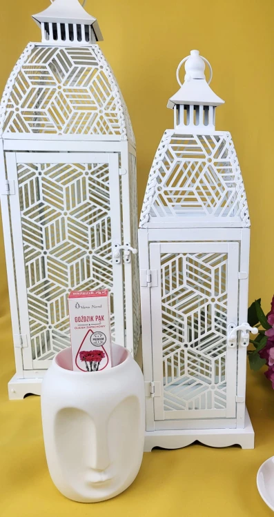 806bf51a1ce9421a99e7b0f96f9eccd9