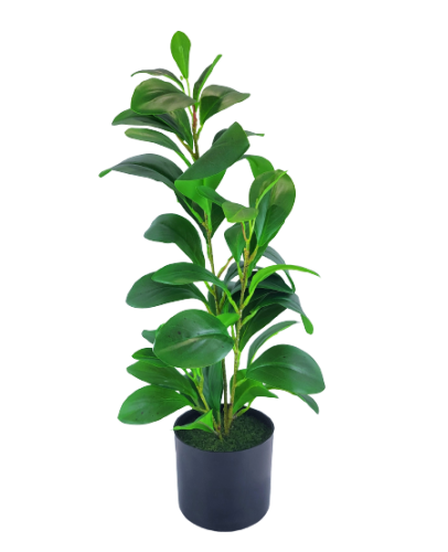 7c52bc6ba3325035b1e4a572995d53a4