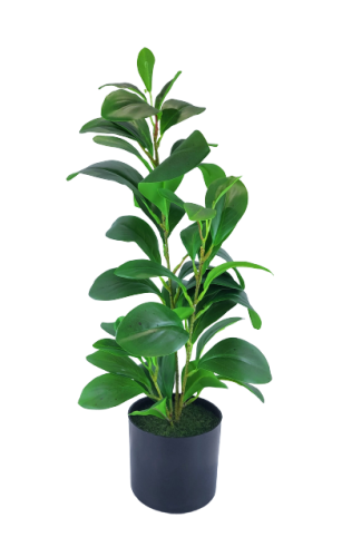 1ab3cebee7d927bb3a8065d4e1a02dac