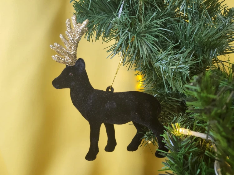 dda629736ff2abc874485987fa125e19