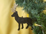 dbafdfd3cfa9f9059b00f70f83675174