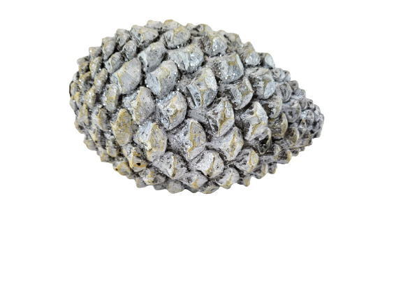 a22b76e0078c2bee322b04b7999ce2cd