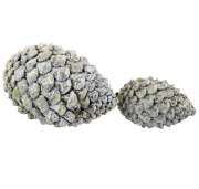 6e0945fbd561970e499ef37115567a55