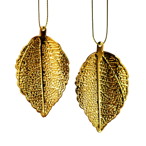 7afc3eb25bfa59942b892fc459eb54dd