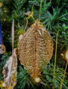 24683072e9945acc225219cc5a9bfd31