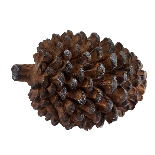 15c7c0f781d58d93714c12df762f6fd3