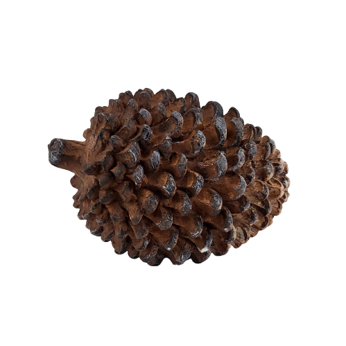 a5ae71a477ab5d35b3c5b0b05b3bcecf