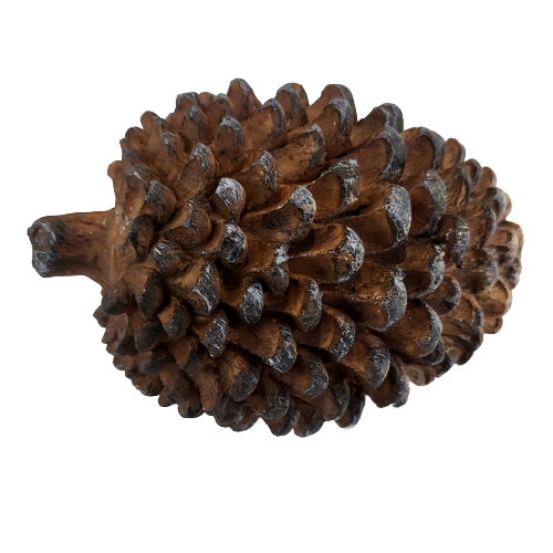 55eba566914d2cc97a46d5f7732a22a2