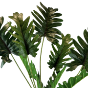 a6ea7cfb2e35a40021cee71d871f0bf7