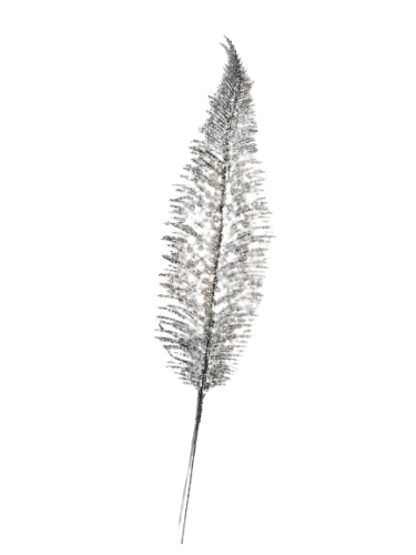 ff3bd9f25cc6d7cf6e853d10708e245e