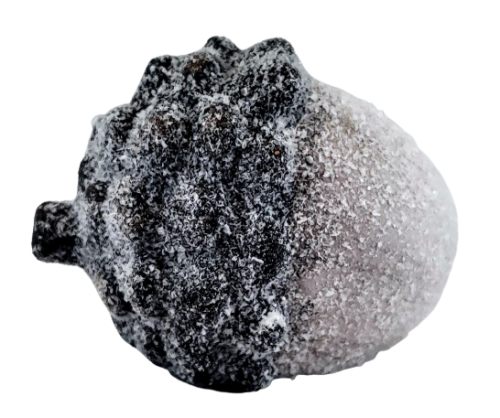 e77e8692a746e0f270d1d6145af0f04b