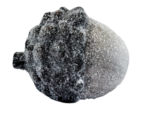 708036956fb61f6c94ac4ef5c51c5ec0