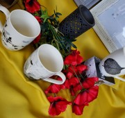 8529f5a12b622fdd03336c2c8a450311